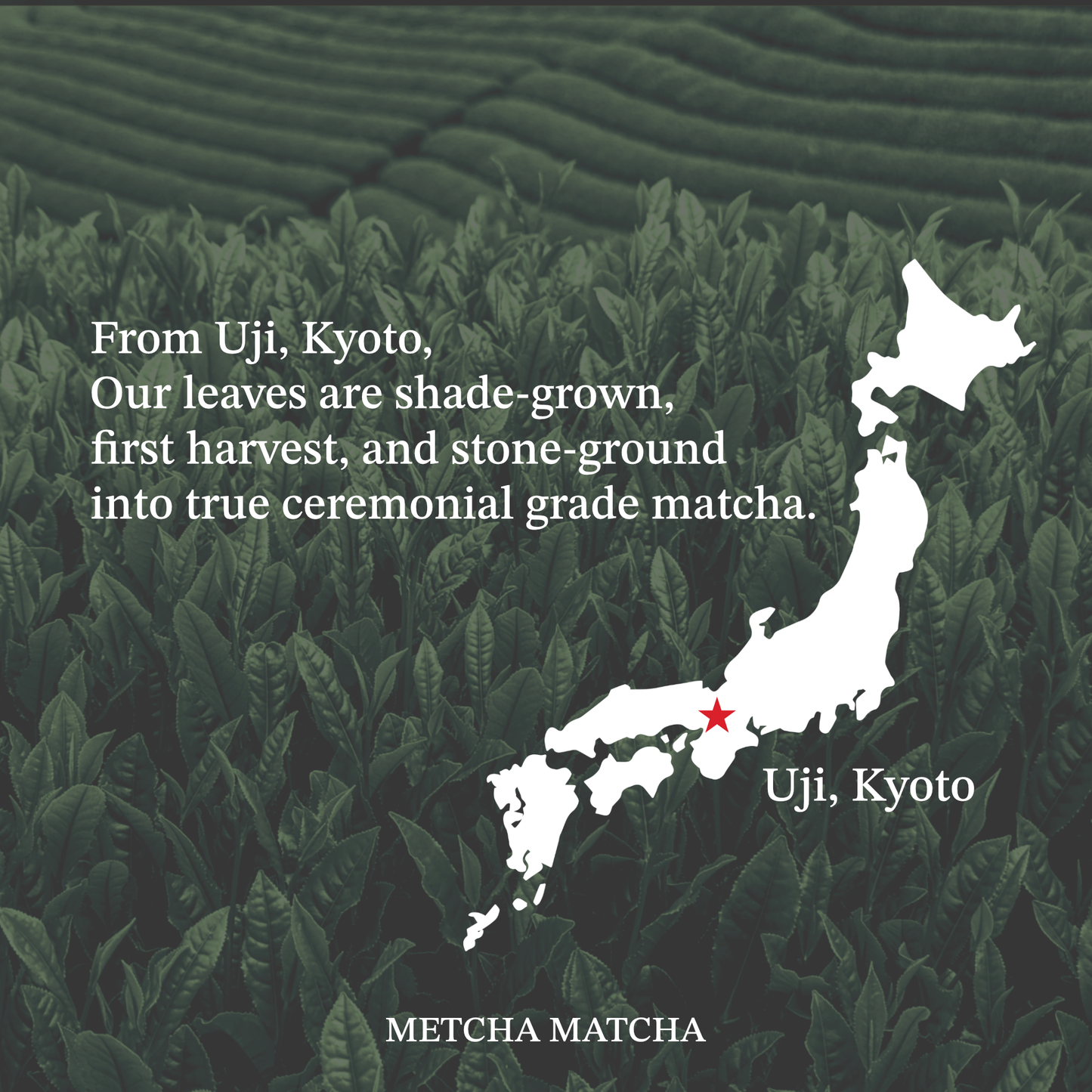 Matcha Ceremonial Grade Uji Matcha Powder -30g